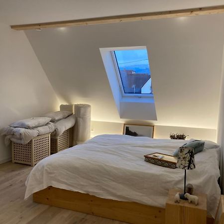 Apartmán Neues Penthouse-Loft Mit Konuskarte Fuer Gratis Oepnv Ehrenkirchen Exteriér fotografie