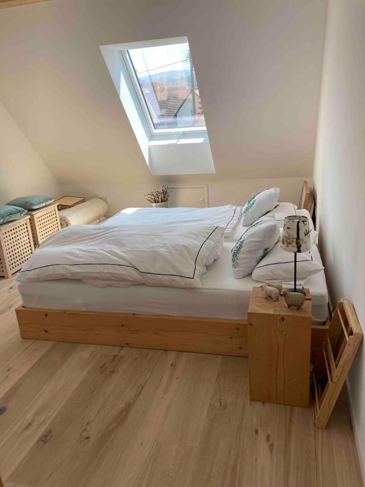 Apartmán Neues Penthouse-Loft Mit Konuskarte Fuer Gratis Oepnv Ehrenkirchen Exteriér fotografie