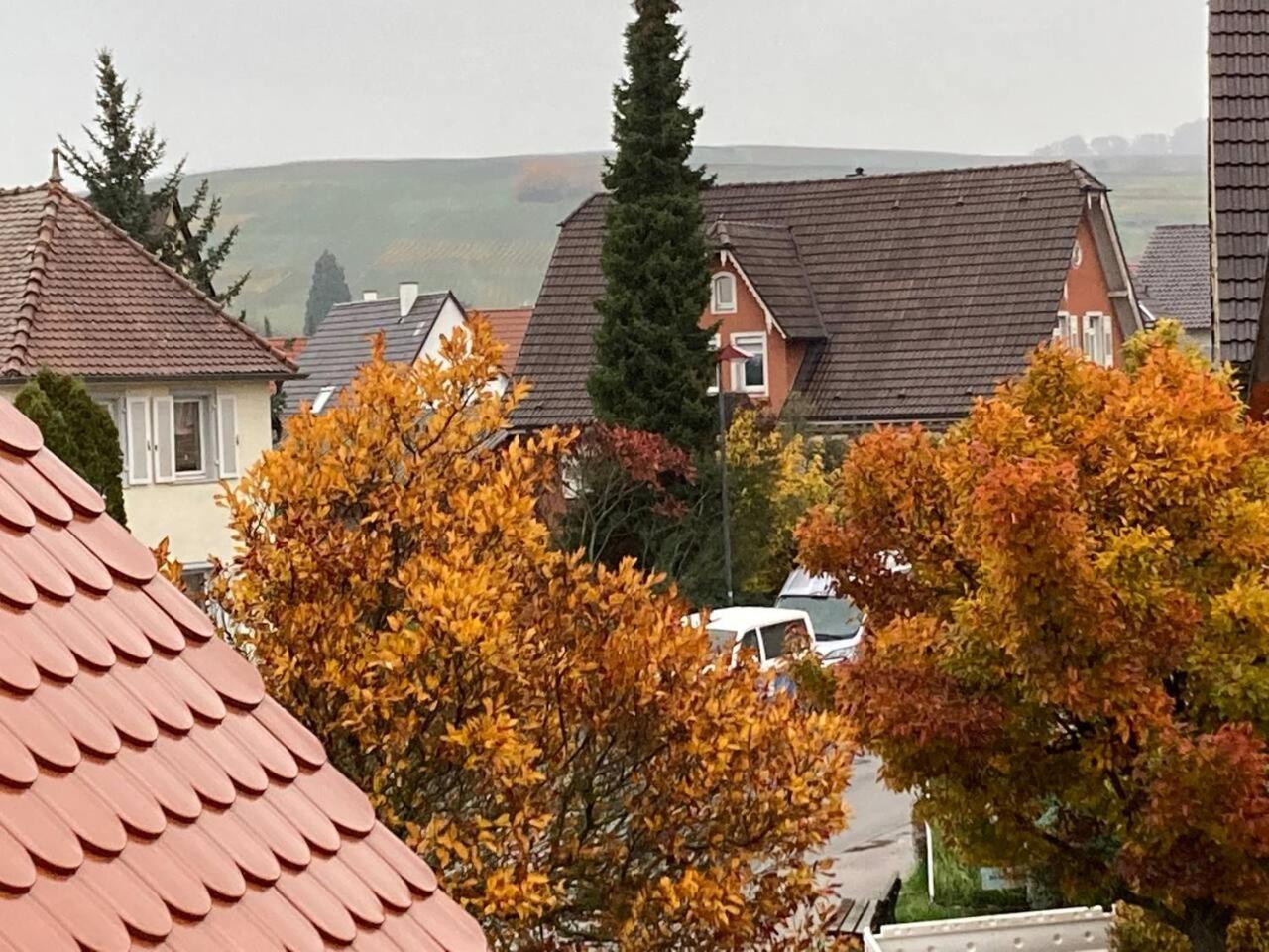 Apartmán Neues Penthouse-Loft Mit Konuskarte Fuer Gratis Oepnv Ehrenkirchen Exteriér fotografie